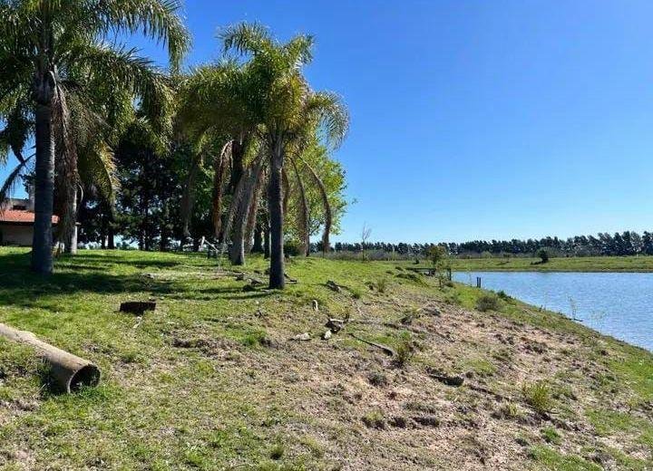 350 Lotes de 1.000 a 2.800 Metros cuadrados, San Vicente, Laguna del Sauce. VENTA - Image 6