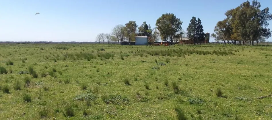 Campo en San Vicente. VENTA - Image 2