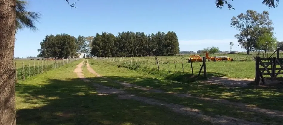 Campo en San Vicente. VENTA
