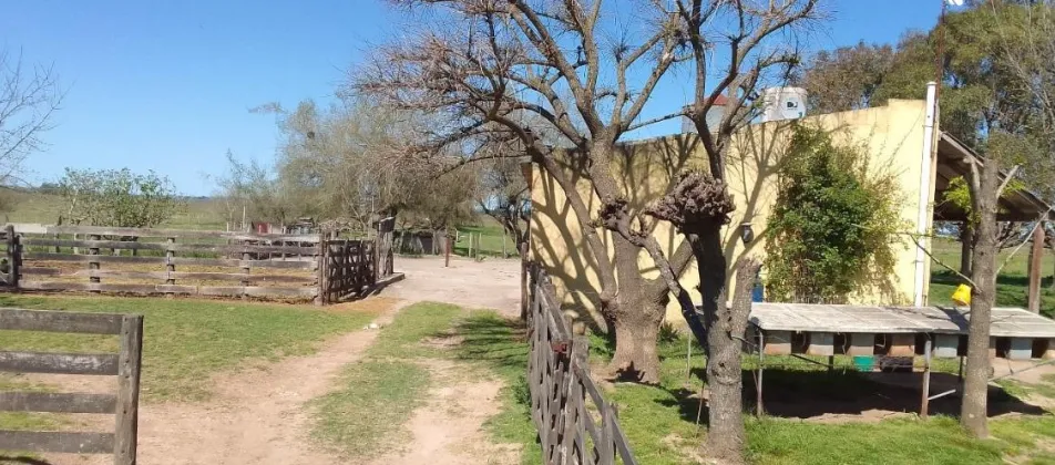 Campo en San Vicente. VENTA - Image 9