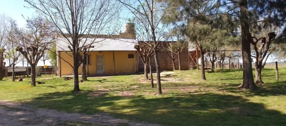 Campo en San Vicente. VENTA - Image 10