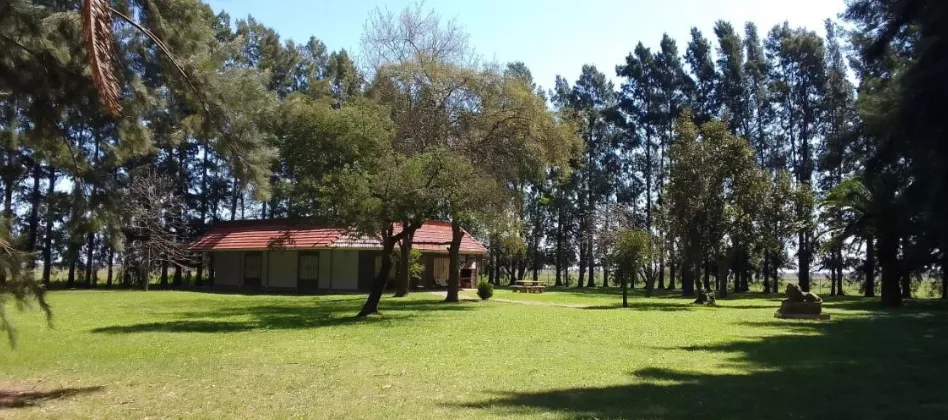 Campo en San Vicente. VENTA - Image 11