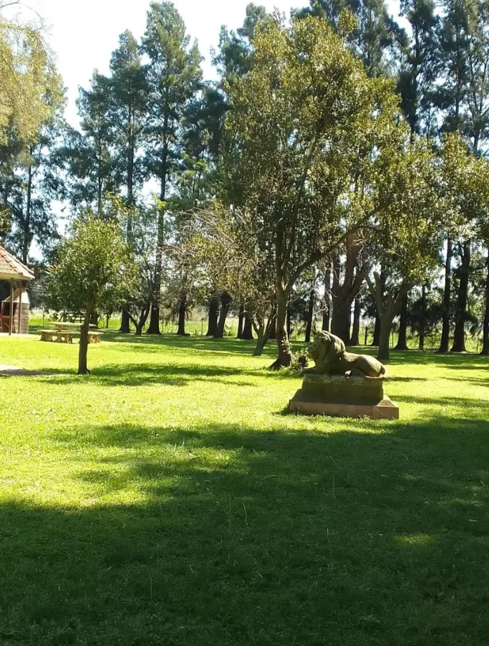 Campo en San Vicente. VENTA - Image 12