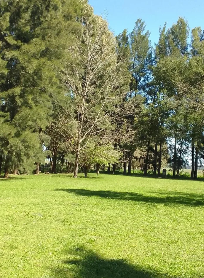 Campo en San Vicente. VENTA - Image 13