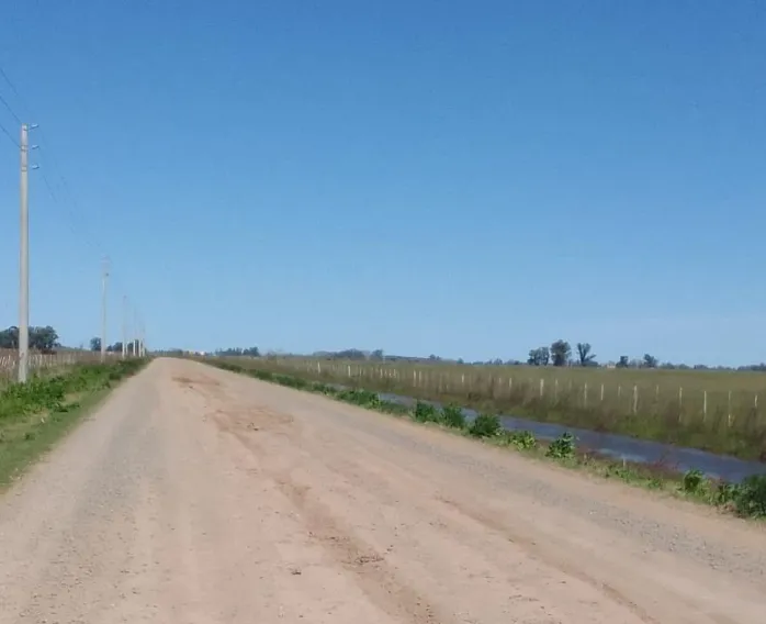 Campo en San Vicente. VENTA - Image 14