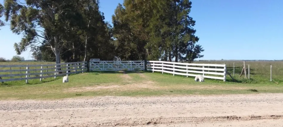 Campo en San Vicente. VENTA - Image 15