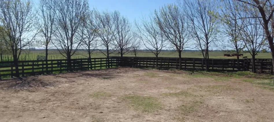 Campo en San Vicente. VENTA - Image 16