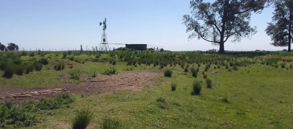 Campo en San Vicente. VENTA - Image 18