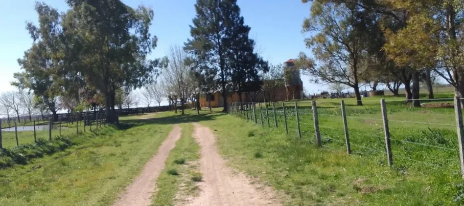 Campo en San Vicente. VENTA - Image 19
