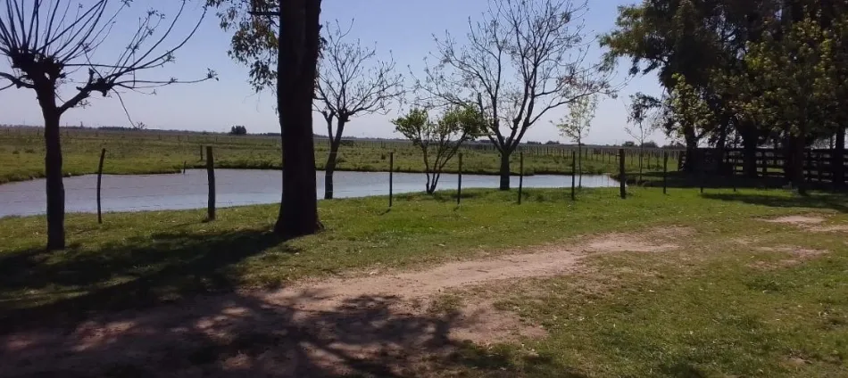 Campo en San Vicente. VENTA - Image 20