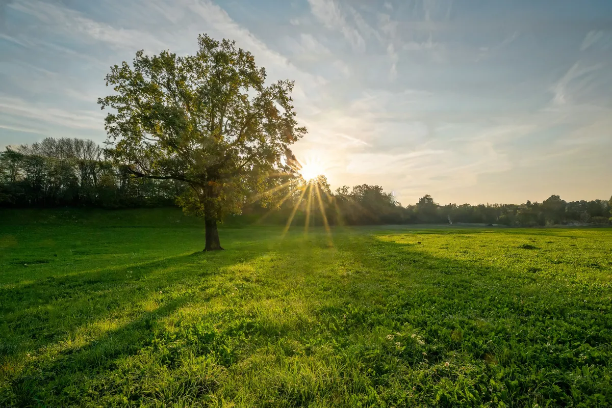Campo En General Madariaga, 5.000 Hectáreas. VENTA