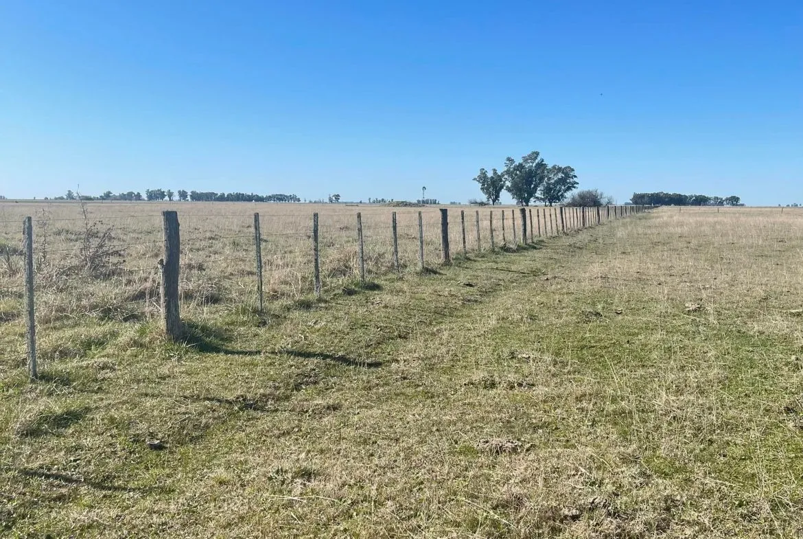 Campo En General Madariaga, 5.000 Hectáreas. VENTA - Image 6