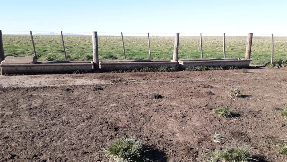 Campo 4.625 Hectáreas Sobre Autopista, Bahía Blanca. VENTA - Imagen 4