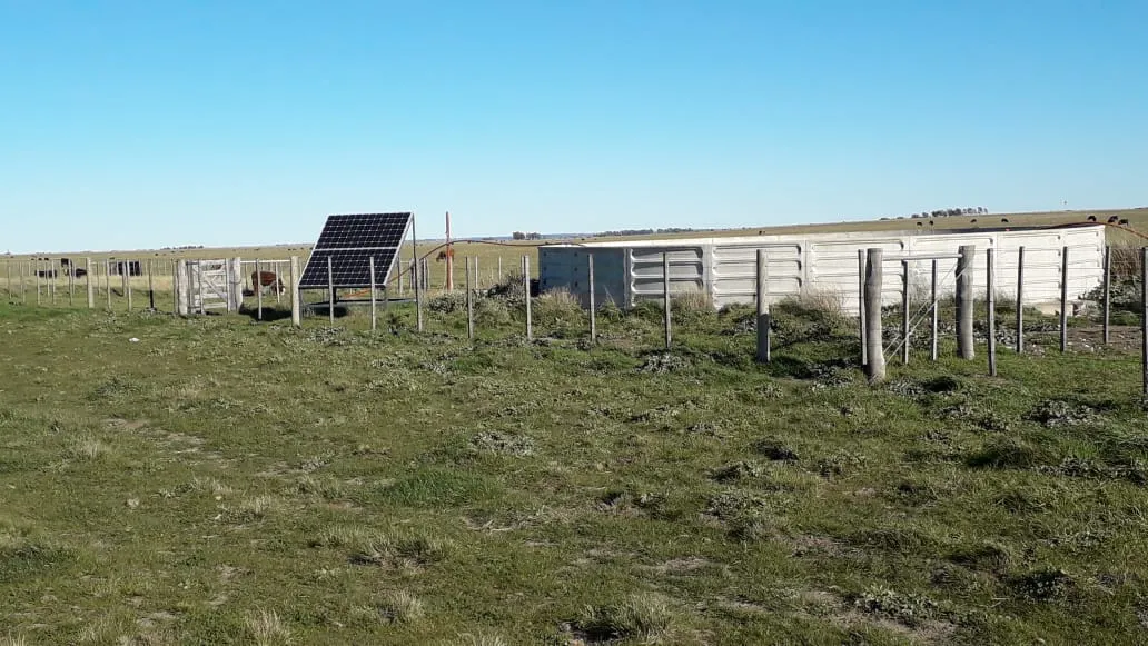 Campo 4.625 Hectáreas Sobre Autopista, Bahía Blanca. VENTA - Imagen 3