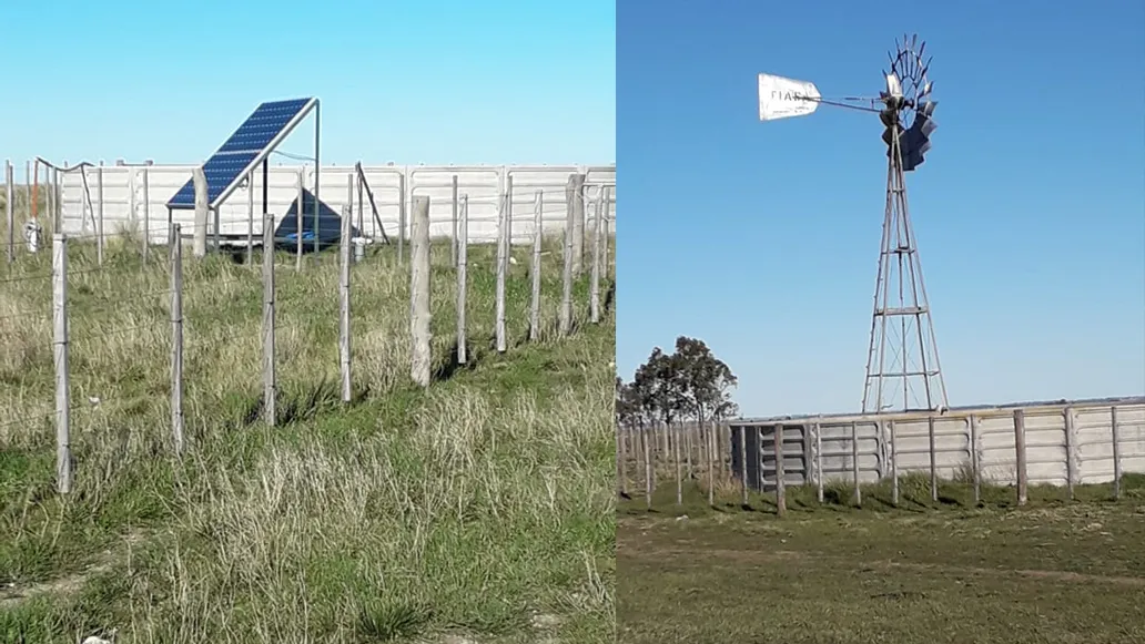 Campo 4.625 Hectáreas Sobre Autopista, Bahía Blanca. VENTA - Imagen 8