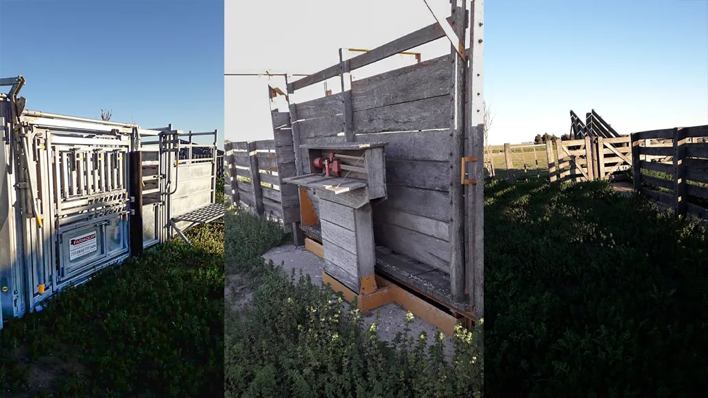 Campo 4.625 Hectáreas Sobre Autopista, Bahía Blanca. VENTA - Imagen 7