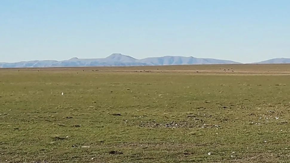 Campo 4.625 Hectáreas Sobre Autopista, Bahía Blanca. VENTA - Imagen 13
